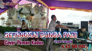 Download Setangkai bunga padi - Cover Paman Kadus MP3