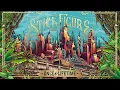 Stick Figure – "Once in a Lifetime"