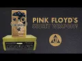 Catalinbread Echorec Multi-Head Delay