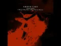 I Wish I Was You (Twin Tribes Remix) - Creux Lies