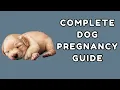 The COMPLETE Dog PREGNANCY Guide GemmiYup