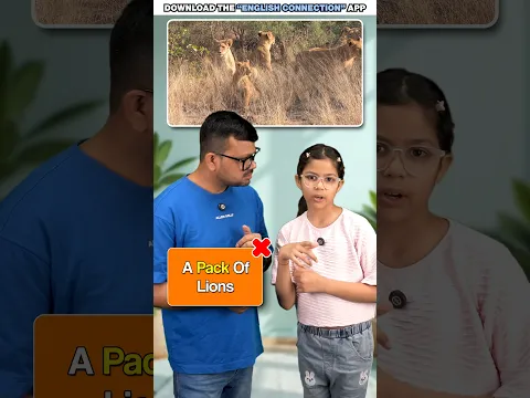 What Is a Group of Animals Called? 🦁 | Collective Nouns | Adi & Daddy | Vidya Connection #shorts