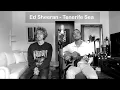 Download Lagu Ed Sheeran - Tenerife Sea (Hearts \u0026 Colors Cover)