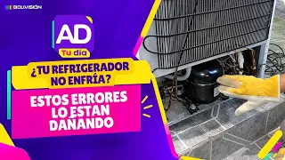 Lo que pasa en casa: aprende a cuidar y mantener tu refrigerador