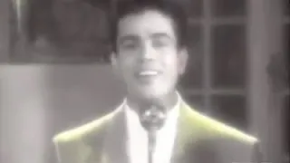 عمرو دياب حبيبي يا مالك قلبي بالهوى  عمرو دياب حبيبي يا مالك قلبي بالهوى