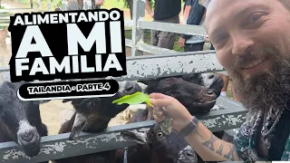 Alimentando a mi familia en Tailandia