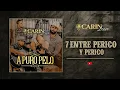 Entre Perico y Perico - CARIN LEON