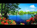 Gawah Hain Chand Tare Gawah (Eagle Jhankar) Movie: DAMINI 1993 Singers: KUMAR SANU & ALKA YAGNIK