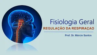 MÓDULO 3 - Aula 13: Regulação da Respiração - Prof. Márcio Santos