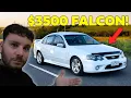 I Spent 3500 on a BF Falcon So You Don t Have To