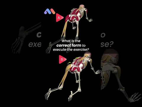 Enhance Your Core with the Bird Dog Exercise!