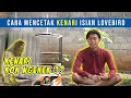 Download Lagu CARA MENCETAK KENARI ISIAN LOVEBIRD