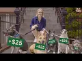 Download Lagu Some dog walkers make $100K...can I do the same?