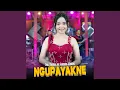 Download Lagu Ngupayakne (feat. Ageng Music)