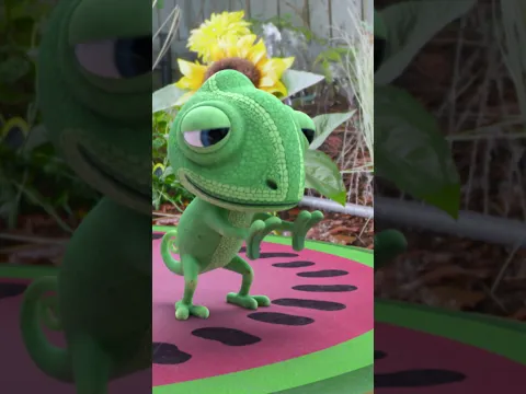 Your Pet is Ready to Play in the Water | Lucas the Spider
