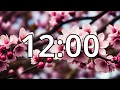 12 Minutes Timer with Music Cherry Blossom Timer