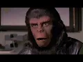 Download Lagu He Articulated Scene From Escape from the Planet of the Apes