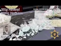 Whitfield County authorities arrest known gang member following major drug bust