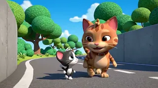 🐱 子猫のチー: こねこのチー ポンポンらー大冒険 4期 第19話 「チーと草むらのヒミツ」Season 4 Episode 19