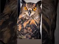 Download Lagu Owl sound🦉