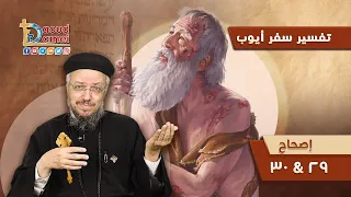 تفسير الكتاب المقدس سفر أيوب 19 سفر أيوب إصحاح 29 30 أبونا داود لمعي 