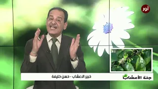                                 دندنها