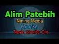 Download Lagu ALIM PATEBIH NINING MEIDA KARAOKE NADA WANITA