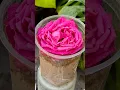 Download Lagu Propagation Of Rose Flower || #plants #propagation #flowers #garden #shortsfeed
