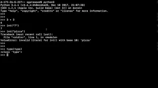 Using the Python Console