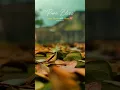 Download Lagu Marudhani song WhatsApp status 🥰 | AR RAHMAN WhatsApp status ❤️ #trendingshorts