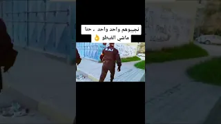 حنا BRI ماشي الفيطو Shorts Algerie BRI 