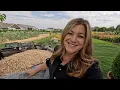 Harvesting Our Wheat Turning it Into Flour Garden Answer