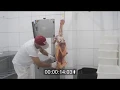 Desossando Paleta Bovina em apenas 47s - Casa de Carnes Bandeirantes