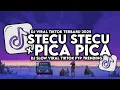 Download Lagu DJ TIKTOK STECU X PICA PICA SLOWED VIRAL TIKTOK 2025