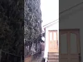 Tujunga snow 2022