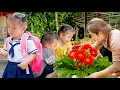 Nhi Pulang Sekolah dan Menghabiskan Waktu Bersama Ibu – Menanam Bunga Dengan Cinta