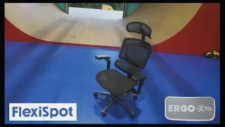 Flexispot ErgoX Pro Chair Review - WIDE