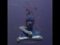 Holed Coin - Echo