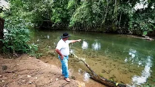 Sítio 2 alqueires Plano com Produção Rico de água "Apenas R$:170 mil" Sete Barras, SP Willian Ricard