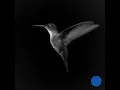Do You Feel The Same? (OCULA Remix) - Emmit Fenn & OCULA