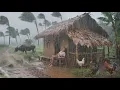 Download Lagu DORPSPARADIJS GETROFFEN DOOR GROOTSTE WINDSTORM VAN AZIË, REGENWANDELING VOOR SLAAP