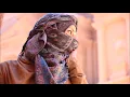 Omeria - True Colors