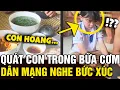 Download Lagu Quát con gái bằng lời lẽ KHÔNG CHUẨN MỰC trong bữa ăn, ông bố nhận MƯA GẠCH ĐÁ | Tin Nhanh Official