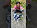 Naya akta RC Cow Toy Unboxing