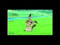 Pokemon Food Chain Mimikyu