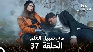 العهد الحلقة في سبيل العلم 37 مدبلج 