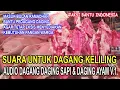 Download Lagu Suara Dagang Keliling Daging Ayam dan Daging Sapi Versi.1