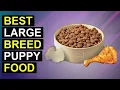 Top 5 Best Large Breed Puppy Food Top Large Breed Puppy Food Picks