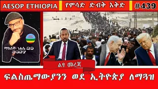 ፍልስጤማውያንን ወደ ኢትዮጵያ ለማጓዝ የሞሳድ ድብቅ እቅድ 439 