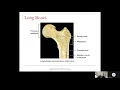 Module 2 Skeletal System
